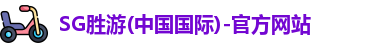 SG胜游(中国国际)-官方网站